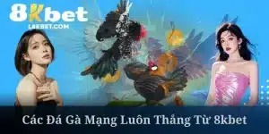 Đá Gà Mạng Luôn Thắng - Hướng Dẫn Chuẩn Từ 8KBET